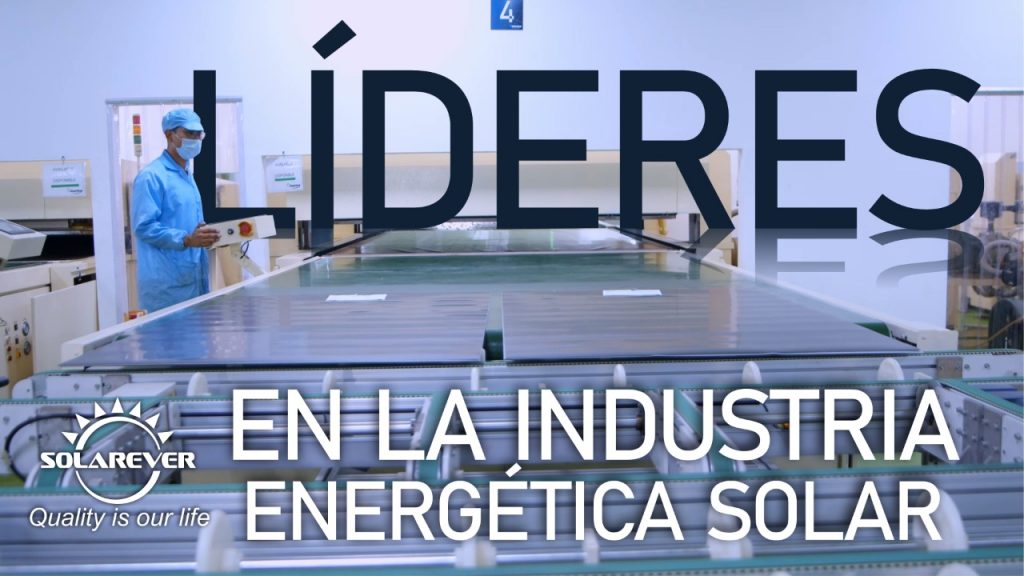 Solarever, líder en fabricación y distribución de paneles solares